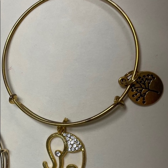 (Sold) 6 ALEX and ANI bracelets & plus 1 free - Picture 6 of 6
